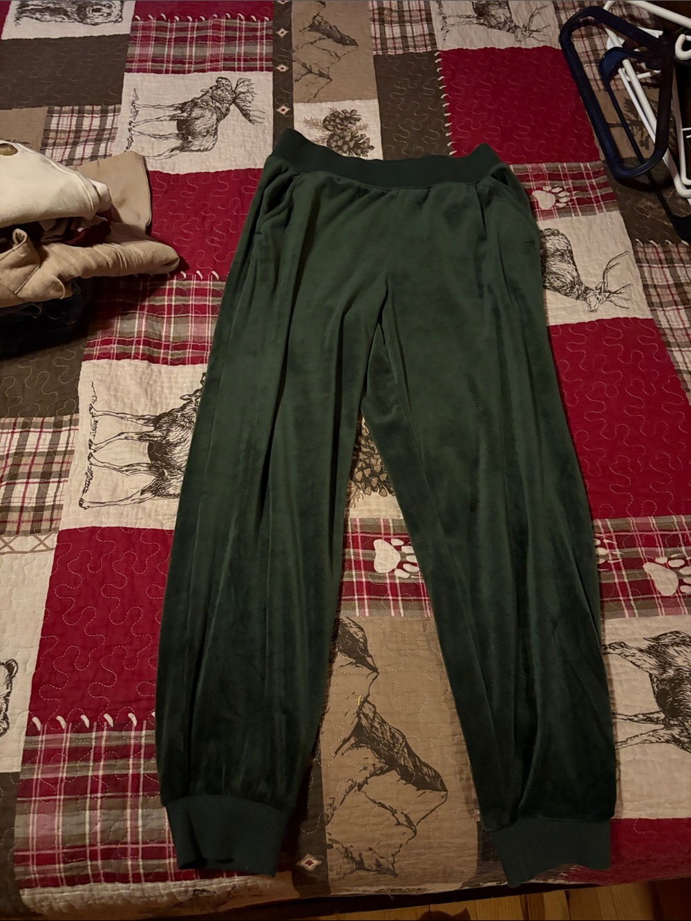 Banana Republic Dark Green Velour Jogger Pants Small